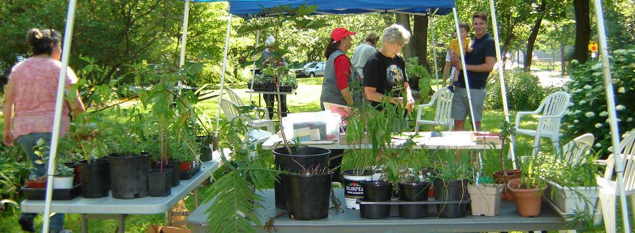 2015 Garden Walk, Prospect Park Minneapolis