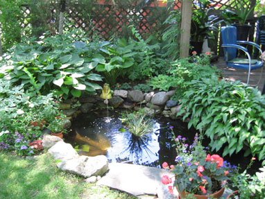 Prospect Park Backyard Garden