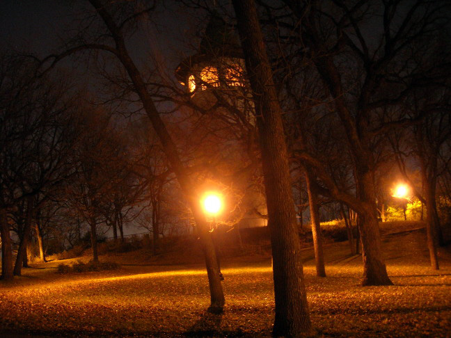 Prospect Park Tower at night 2007